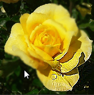 http://img1.sycdn.imooc.com//633fe4d70001eebd01920195.jpg