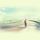 Fly__Sky