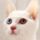 qq_詹龙_0