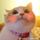 qq_肥肥熊_0