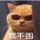 d人叫我陈生