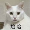 http://img1.sycdn.imooc.com/user/b8e78968089c57a211071110-100-100.jpg