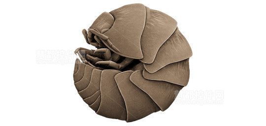 适用MacOSX的7个最佳应用程序_ 图片描述