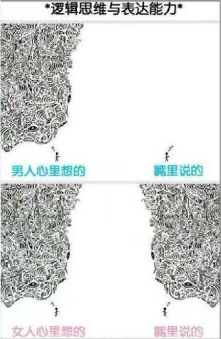 漫谈程序员系列:请区别对待女程序员_ 图片描述