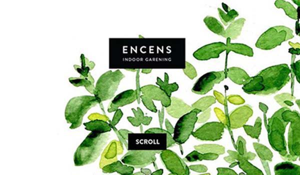 19个以水彩风格为主的网页设计_ 图片描述