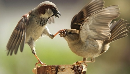 杰出程序员永远都不会说的几句话_ 图片描述