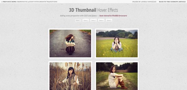 17个有趣实用的CSS3悬停效果教程_ 图片描述