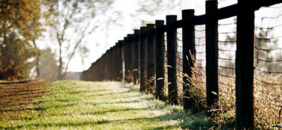 每周编程80+个小时怎么活?_ 图片描述