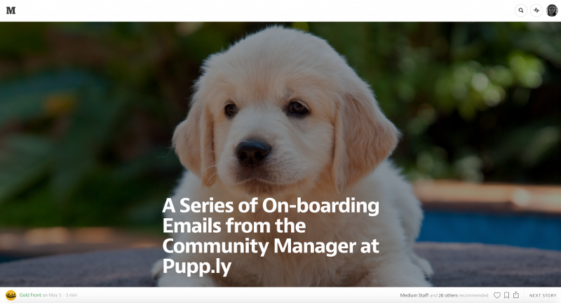 未来Web设计的7大趋势_ 图片描述