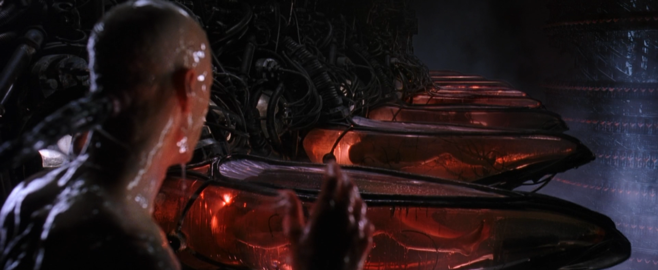 不懂程序看的明白《黑客帝国》吗?_ 图片描述