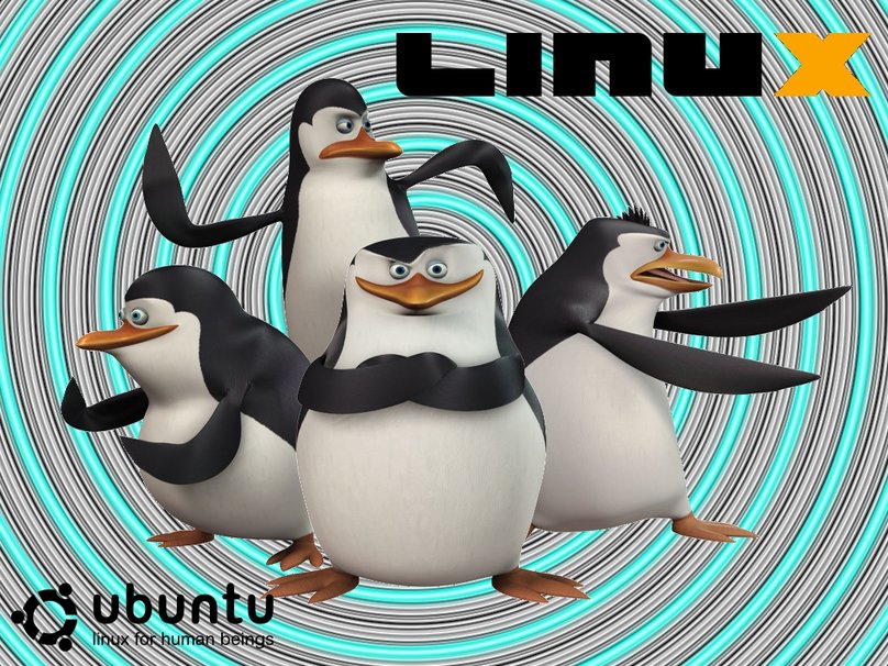 【技术分享】linux如何修改IP?_ 图片描述