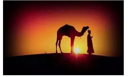 程序猿的年终总结,各种版本各种残_ 图片描述