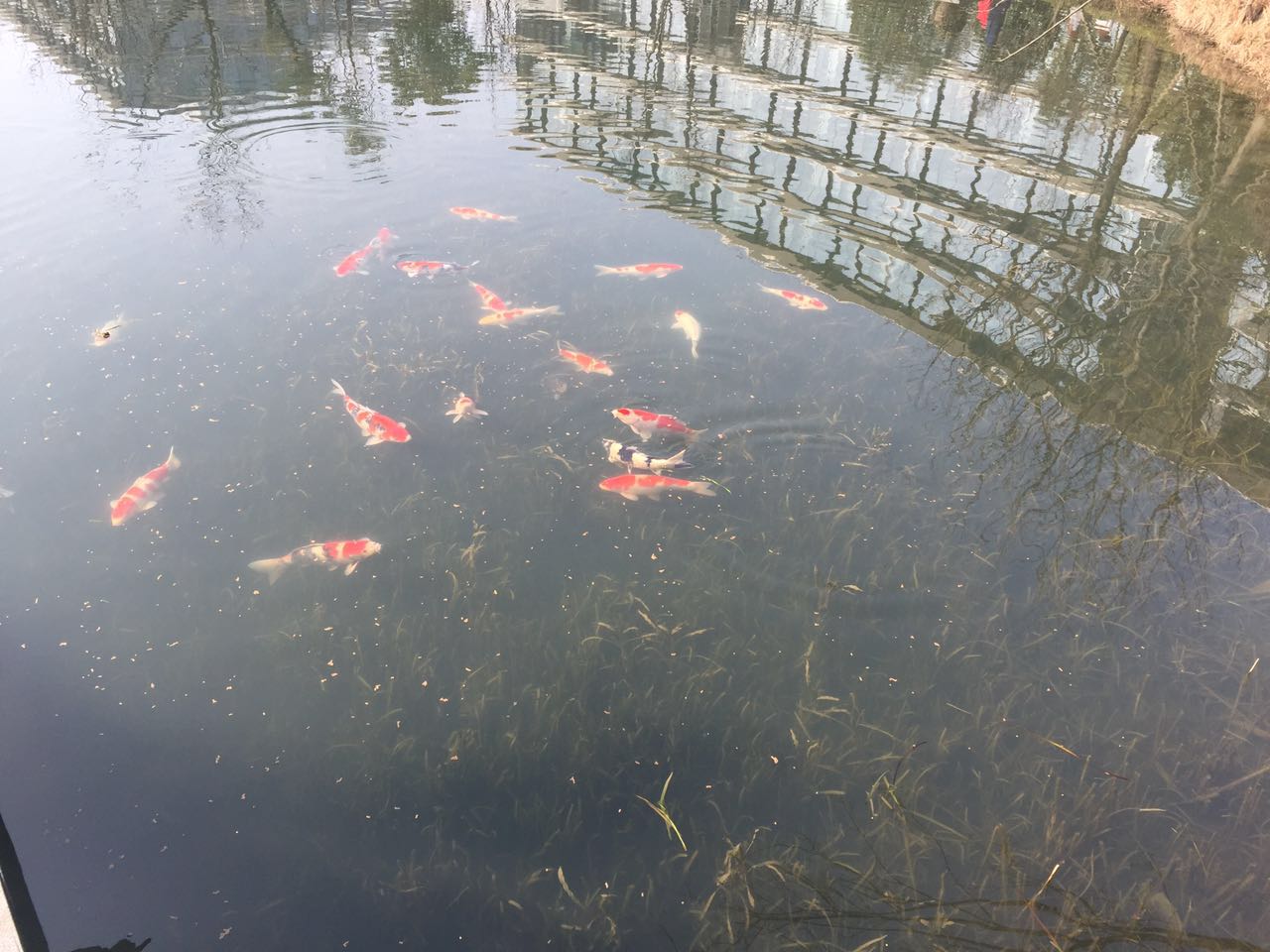 【慕星人福利】阿里无线技术互动研发招前端_ 图片描述