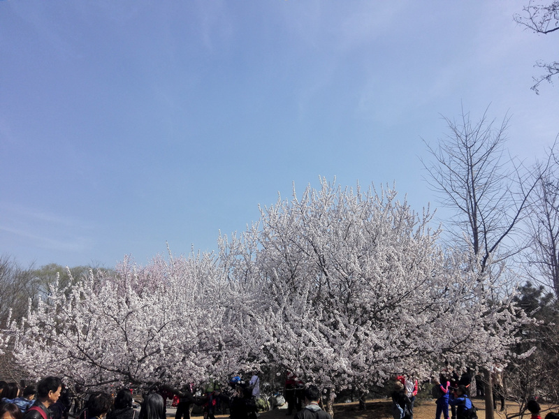 我的慕课_ 图片描述