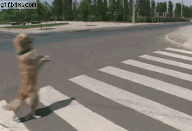 那些年的那些人和那些事(二)_ 图片描述