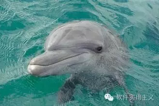 软件生存守则1:小心一句话需求!_ 图片描述