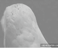 手把手教你自定义IP访问次数限制器_ 图片描述