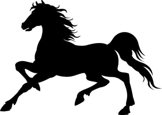 webpacktoexplore探索_ 图片描述