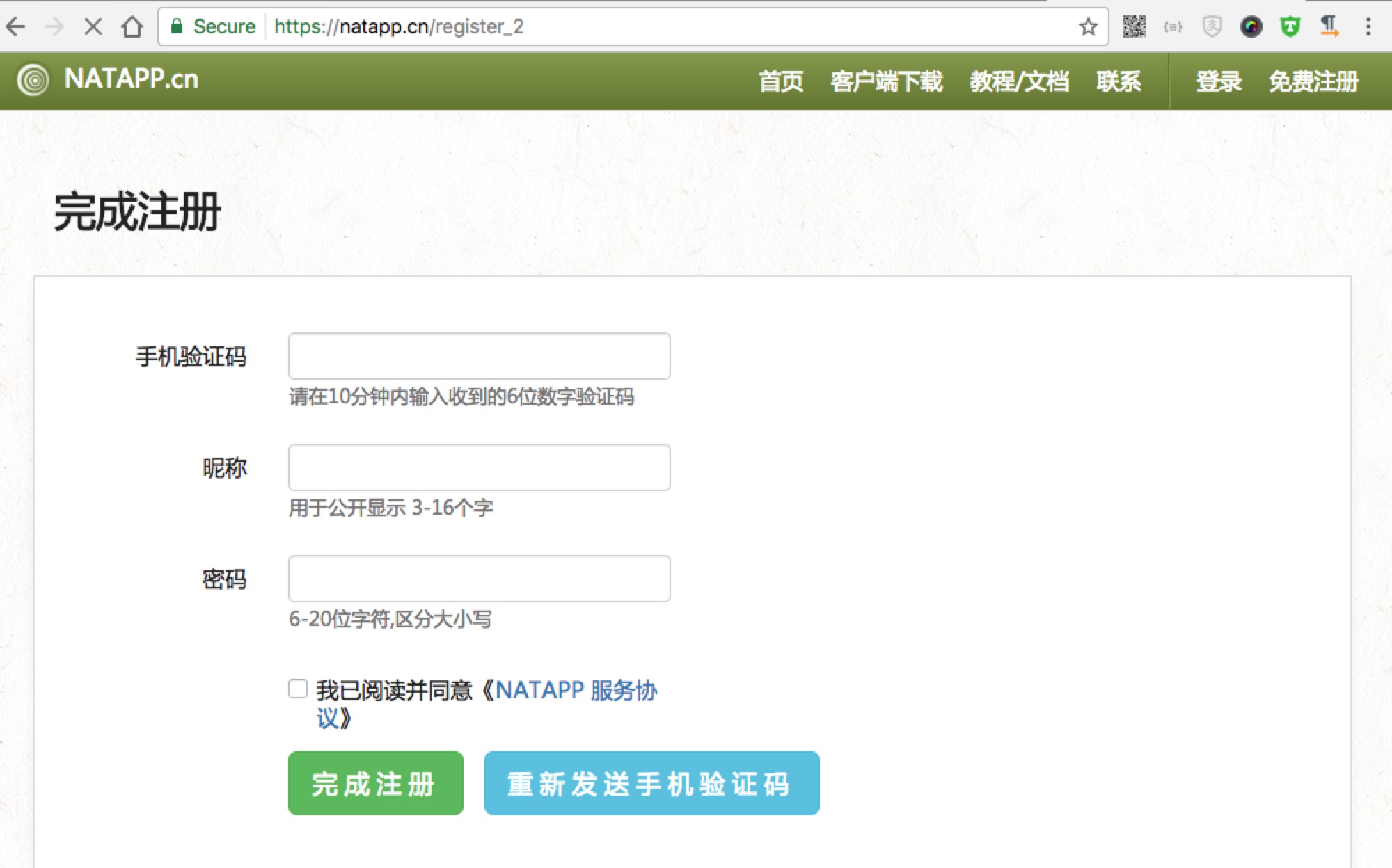 NgrokNatApp微信本地化调试利器_ 图片描述