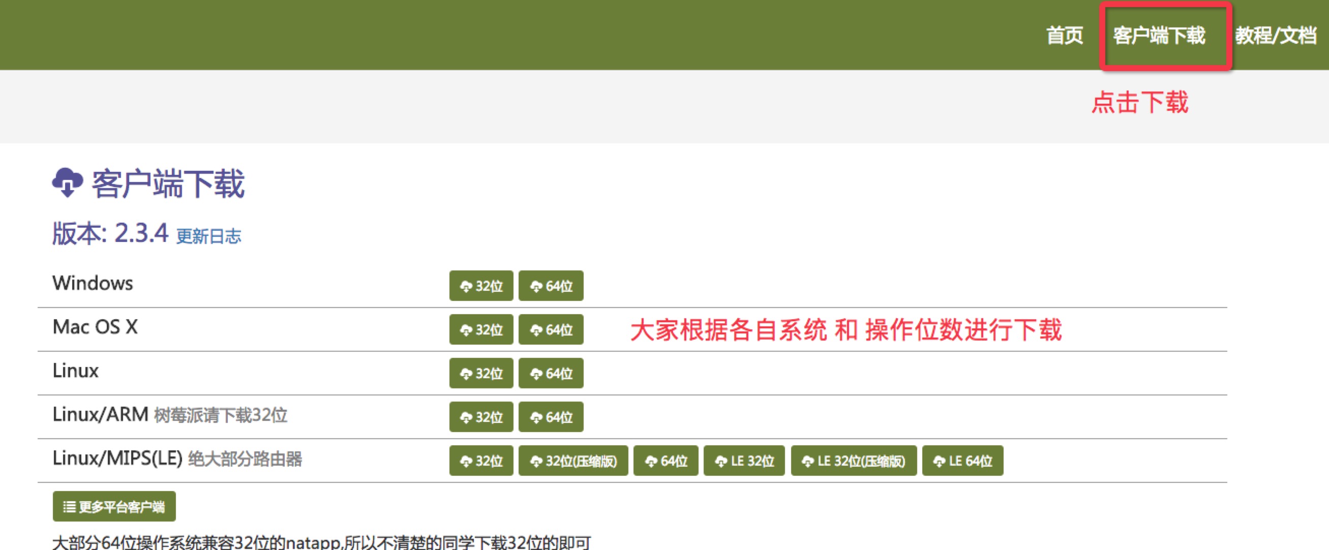 NgrokNatApp微信本地化调试利器_ 图片描述