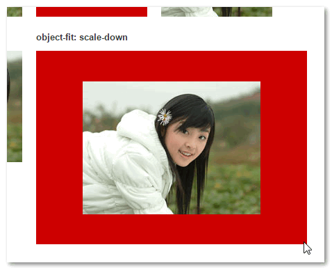 object-fit/object-position及替换元素等(转载)_ 图片描述