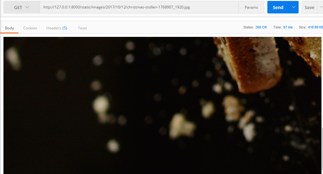使Djangorestframework产生的api可以直接访问图片_ 图片描述