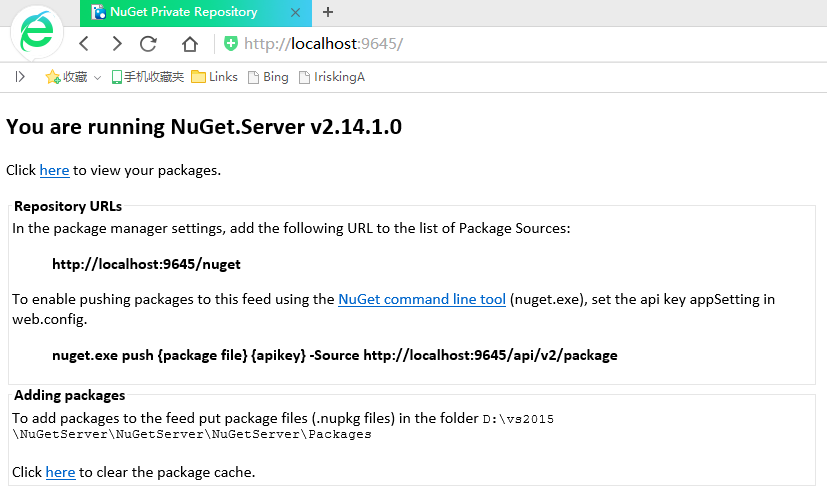 如何内网搭建NuGet服务器_ 图片描述