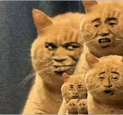 PHP面向对象编程基本原则_ 图片描述