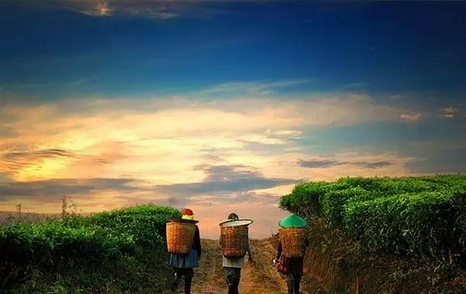 误入前端三年,一个文科生的独白(终结篇)_ 图片描述