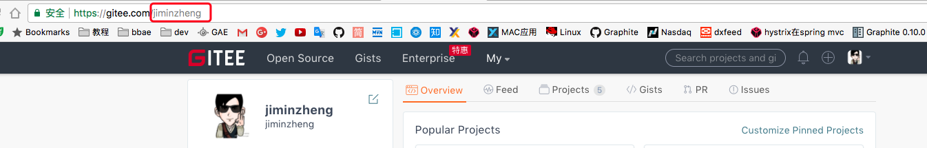 《Java开发企业级权限管理系统》git代码获取说明_ 图片描述