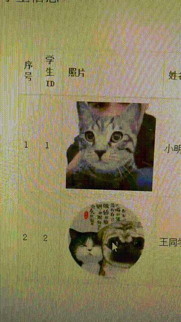 Vue.js+14行代码----实现图片的放大缩小_ 图片描述