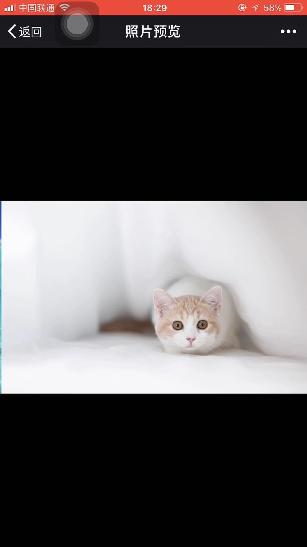 Swiper实现图片预览效果_ 图片描述