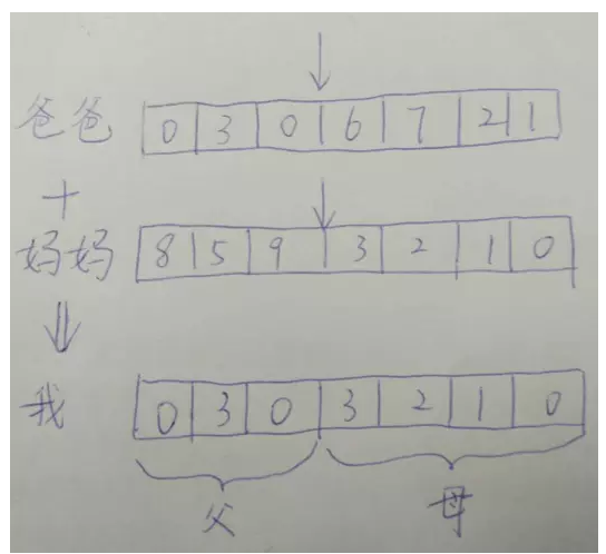 10分钟搞懂遗传算法_ 图片描述