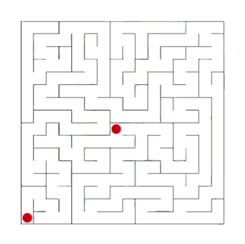 maze exploration maze exploration