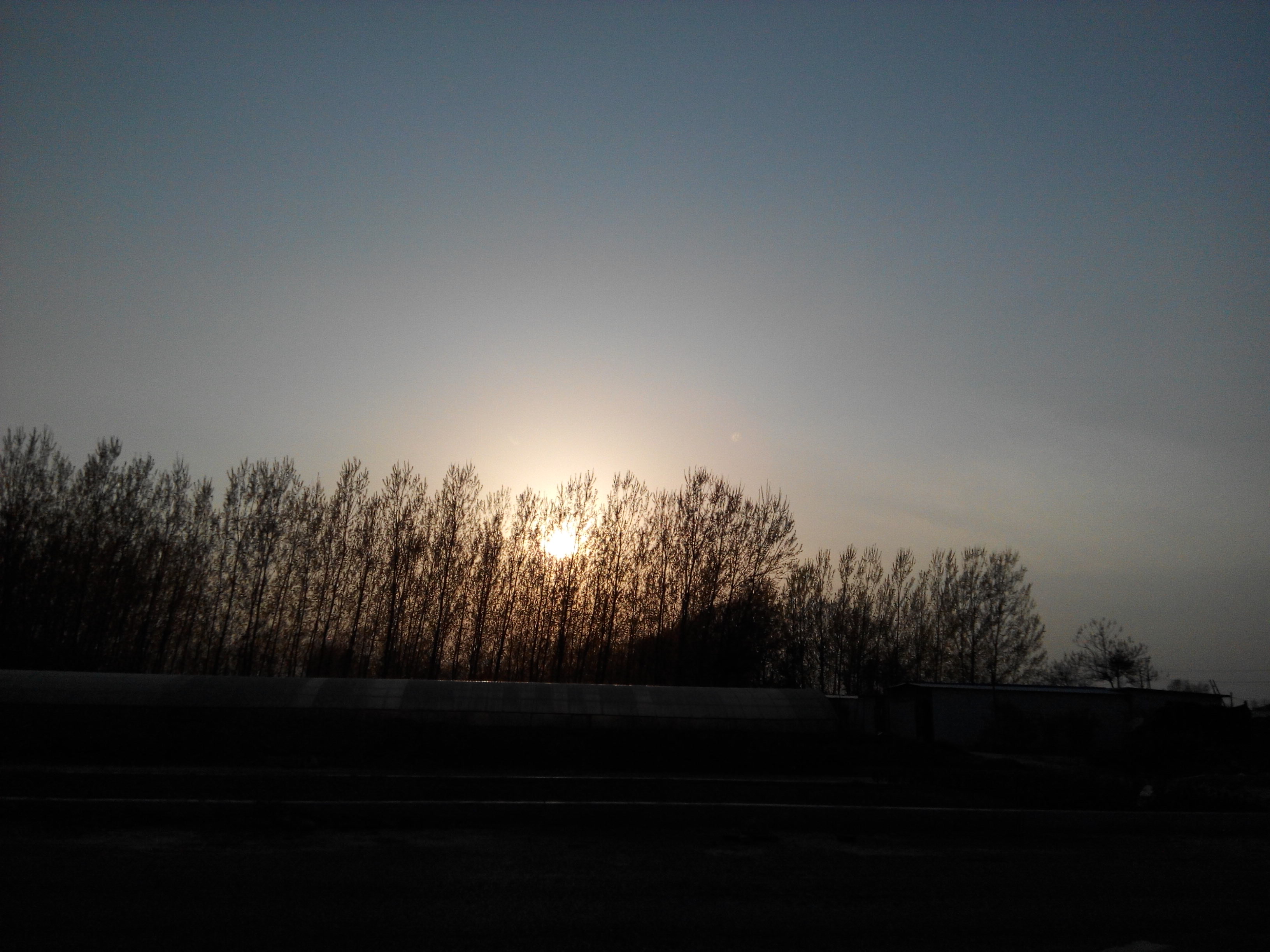 投稿001期|生物专业的我是如何走向IT攻城狮之路的_ 图片描述