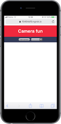 网站应该有一个 'Camera fun' 的标题,一个按钮和一个空的下拉选择框