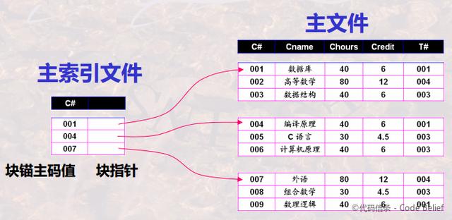 资深架构师关于数据库管理系统索引技术的概述