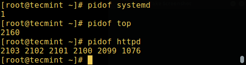 093035lfx9l4zhhf6xelyx