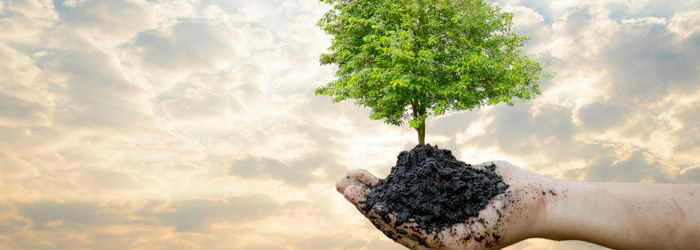 HowcanimprovesISO14001CertificationtocompanyTQMS_ `图片描述`