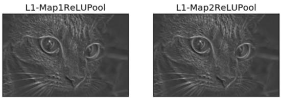 如何使用纯NumPy代码从头实现简单的卷积神经网络！这篇文章真叼