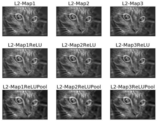 如何使用纯NumPy代码从头实现简单的卷积神经网络！这篇文章真叼