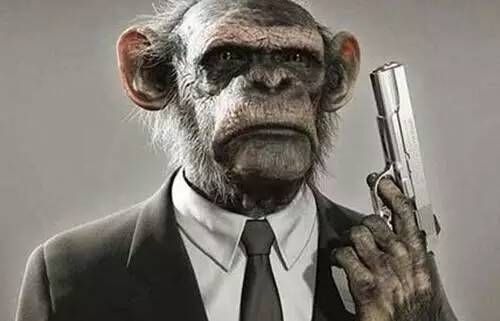 1490083003233069.jpg 20170320132258.jpg