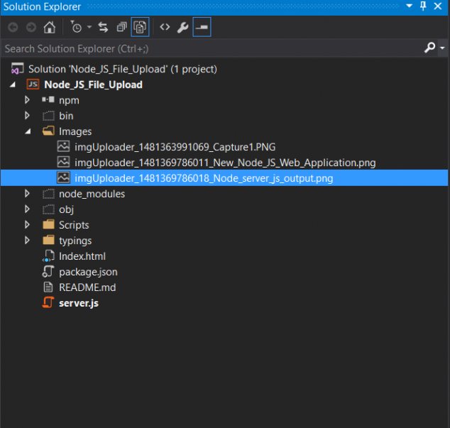 Solution_explorer_window_after_saving_files