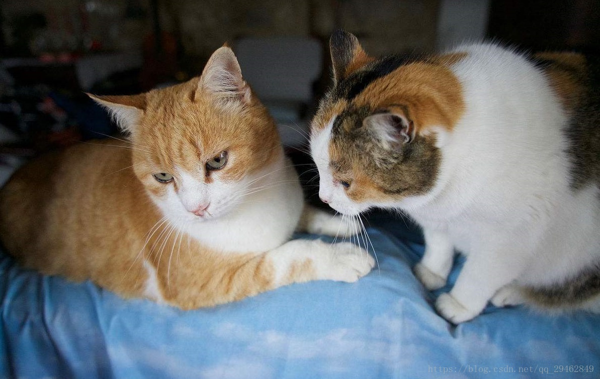 这里写图片描述