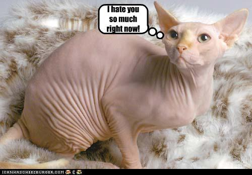 1-R091Ifwl9oeikb3v1rsG1w