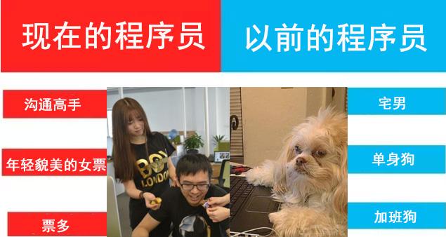 以前的程序员,现在的程序员