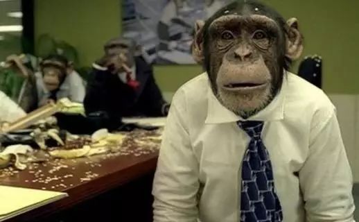 timg (1).jpg 640?wx_fmt=jpeg&wxfrom=5&wx_lazy=1