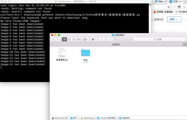 几个Python小案例,爱上Python编程!