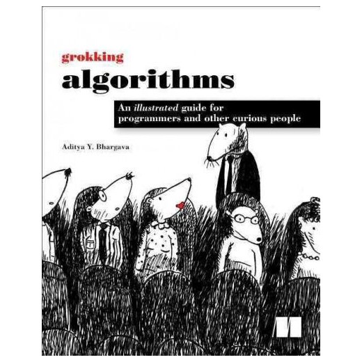 grokking algorithms