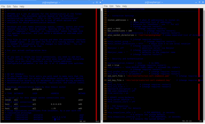edit the postgresql configuration to allow remote connections